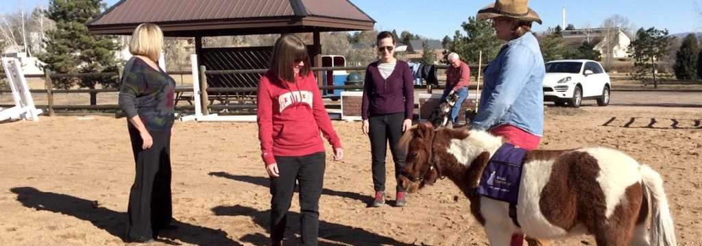 Non-traditional Pet Partners