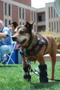 Katie at IHAC conference May 7-8 2014.jpg 2